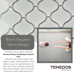 Tenedos Snowy Glossy  Arabesque Porcelain Patterned Look Wall Tile-1 piece