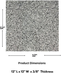 12x12 Polished Bianco Granite Tile (1 pcs)