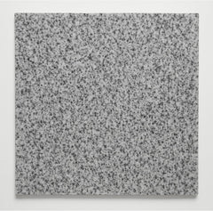 12x12 Polished Bianco Granite Tile (1 pcs)