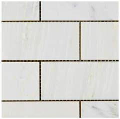 Calacatta Cressa (Asian Statuary) 2x4 Subway Marble HTC-1sqft