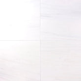 Tenedos Bianco Dolomite 18x18 Honed (Matte) Field Tile