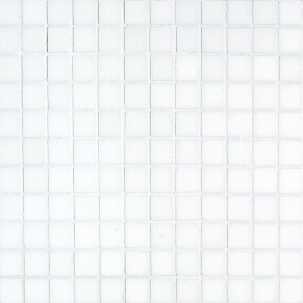 Epoch Tile TW1X1 1x1 Polished Marble Thassos White Wall Flooring Tile