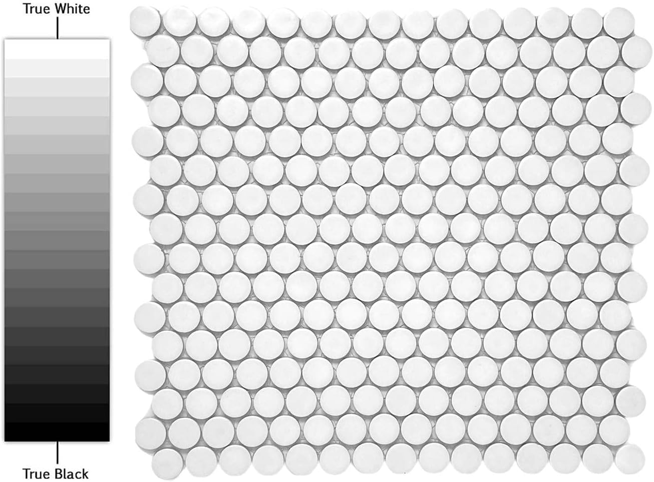 White Penny Round Matte Porcelain Mosaic Tile -  (12x12 sheet)