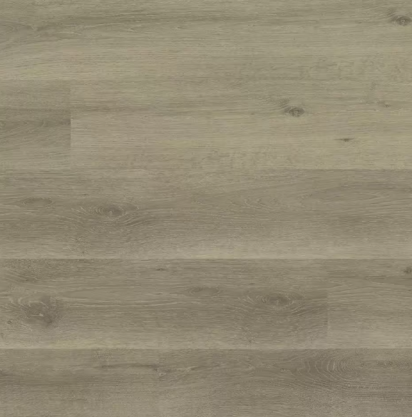 Bailey Rayne 30 MIL x 9 in. W x 48 in. L Click Lock Waterproof Luxury Vinyl Plank Flooring (17.96 sq. ft./Case)