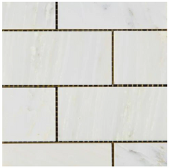 Calacatta Cressa (Asian Statuary) 2x4 Subway Marble HTC HONED-1 sqft