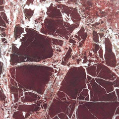 12" x 12" Polished Marble Tile in Rosso Levanto