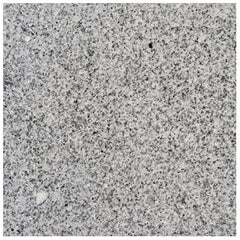 12 x 12 Polished Granite Tile in Bianco Catalina (Box of 5 pieces)