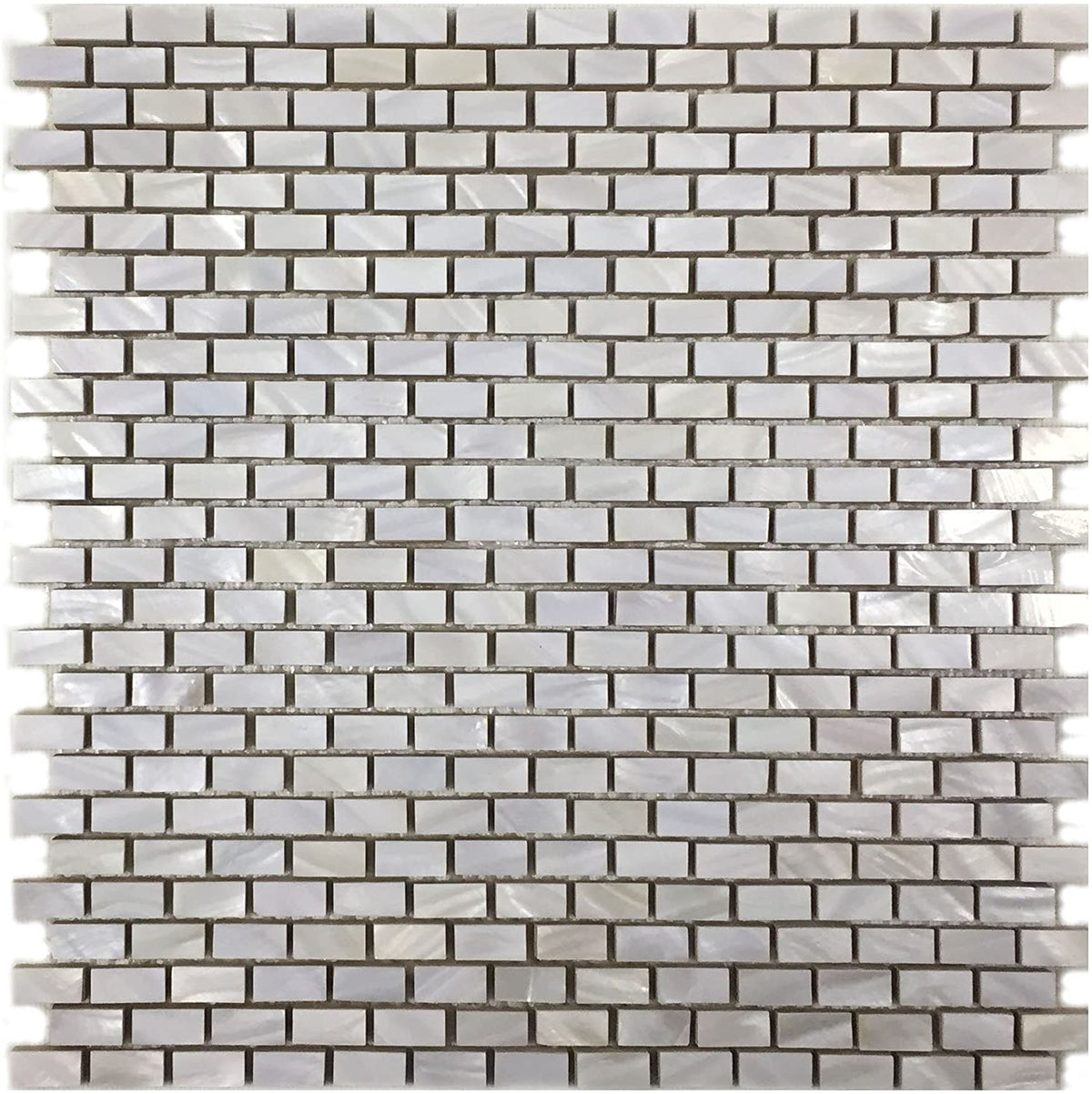 Mother of Pearl Seashell Oyster Mini Brick w/backing Mosaic Floor Wall Tile