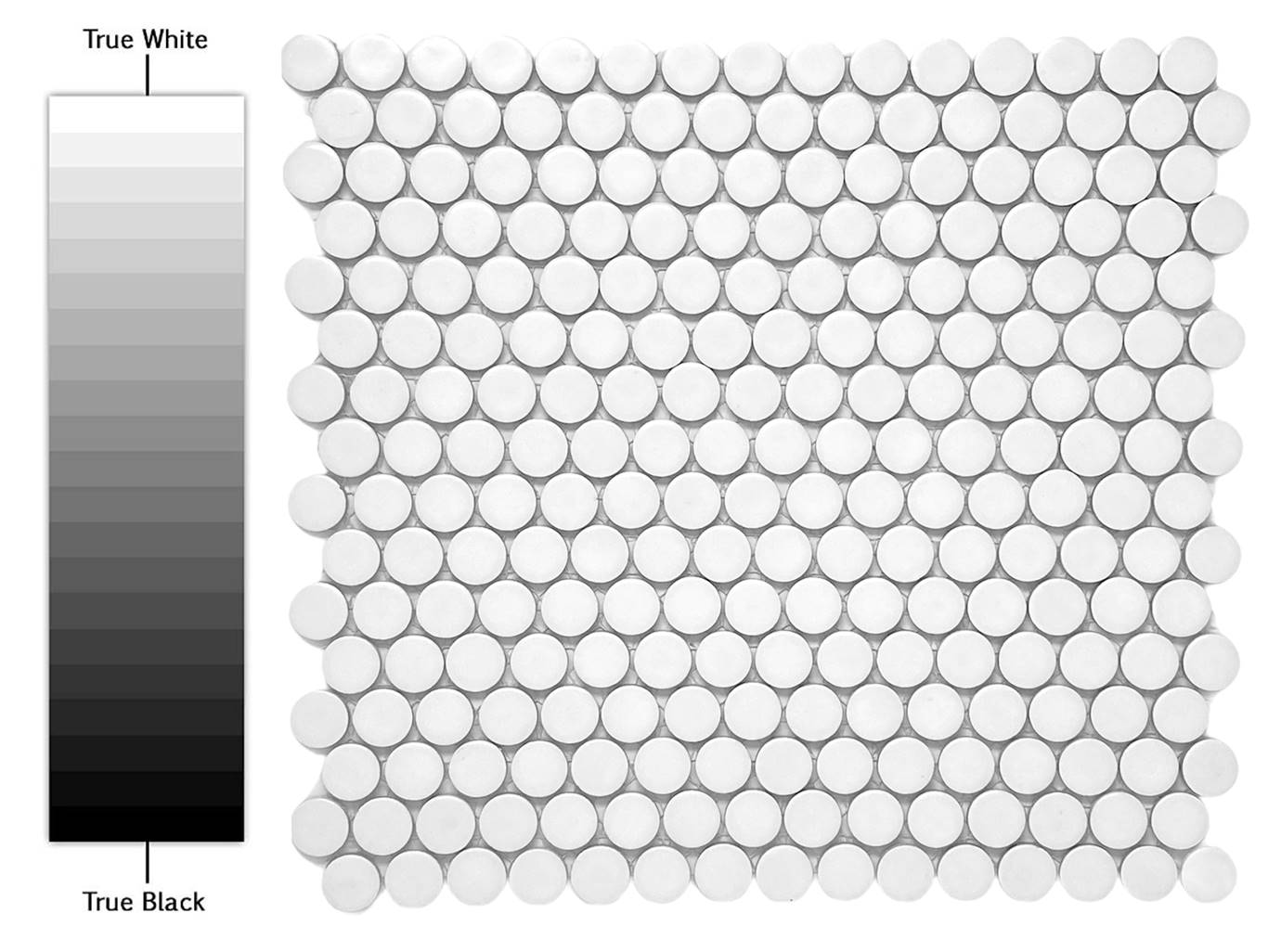 Penny Round Tile Arctic White Porcelain Mosaic Floor Wall Tile backsplash Matte Look for Bathroom Shower, Kitchen, Accent Decor, Fireplace